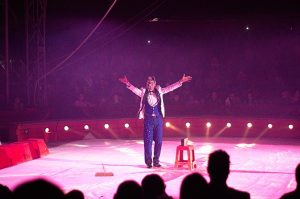 Circus arts teacher article illustration