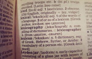 Lexicographer article illustration