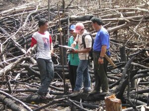 Geographic information systems specialists