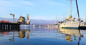 Maritime pilot article illustration