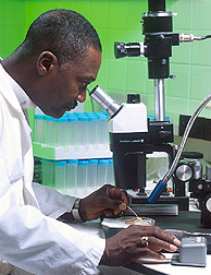 A biophysicist