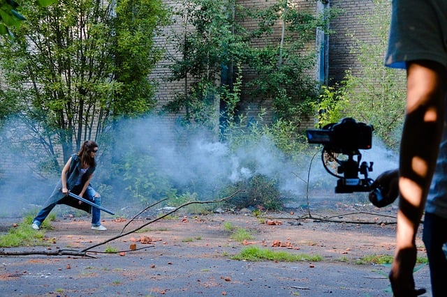 A fight director